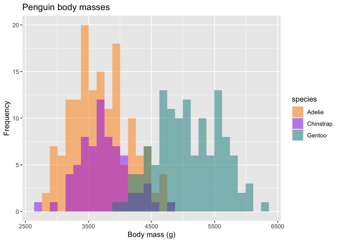 A histogram of penguin body masses where Gentoo penguins have body masses that are about 37% larger than Adelie and Chinstrap penguins.